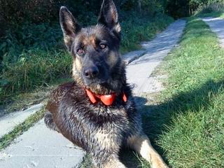 Baskia nach dem Baden02