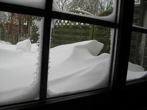 Blick aus dem Esszimmer