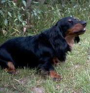 Charly