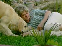 Diana spielt Ersatzmama fr die kleinen Golden Retriever