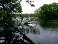 Eindrcke I