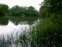 Eindrcke X