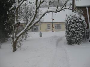 Eiswste