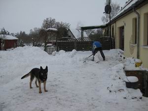 Frank versucht den Schnee von Haus weg zu halten