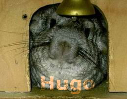 Hugo