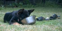 Hunger