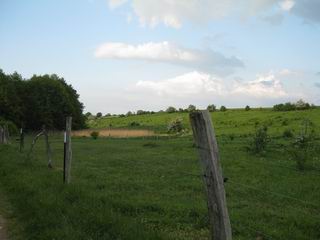 Koppel am Teschendorfer See