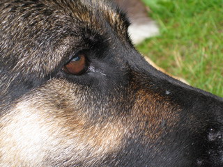 Nahaufnahme II5