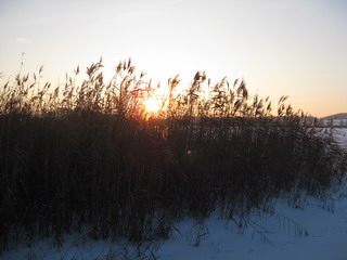 Wintersonne
