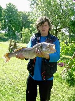 Zander 2006 I