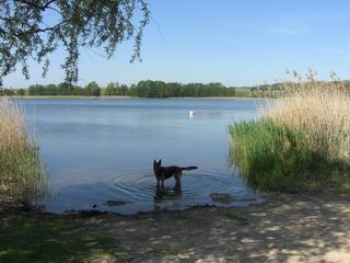 am Gramelower See