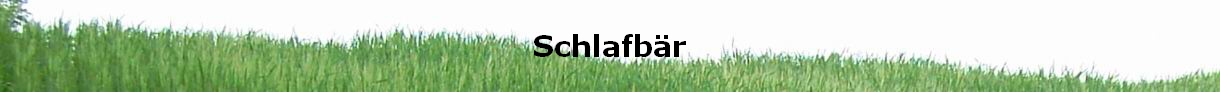 Schlafbr