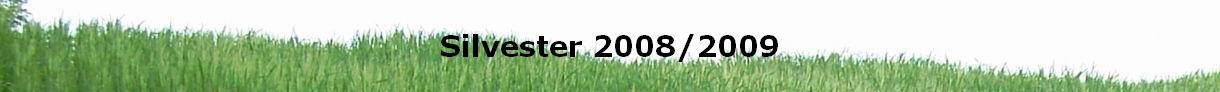 Silvester 2008/2009
