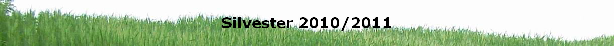 Silvester 2010/2011