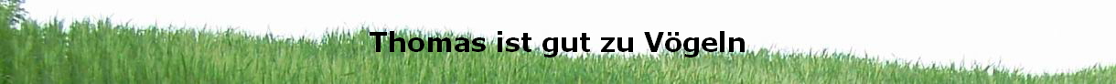 Thomas ist gut zu Vgeln