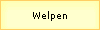 Welpen