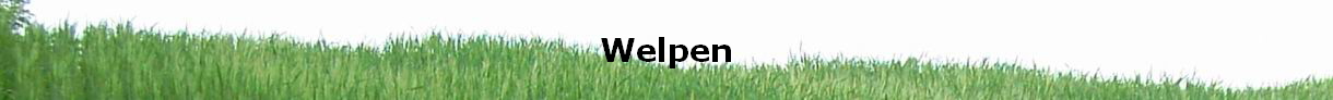 Welpen