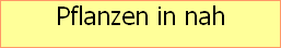 Pflanzen in nah