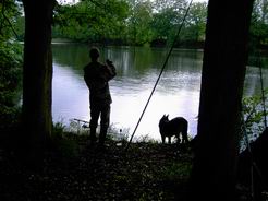der Hund klebte wieder an Frank Zanders Hose