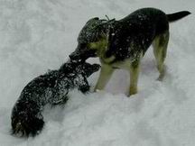 die beiden Irren im Schnee