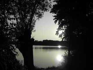 gegen die Sonne