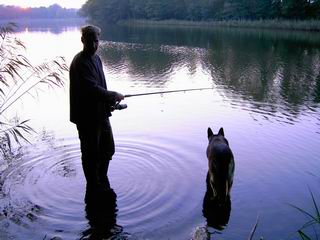 manchmal ist unser kleiner Schferhund auch anstrengend-warum Baskja kein Fisch geworden ist