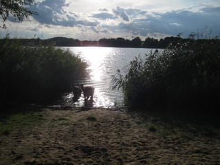 na am Starnd kann amn ja noch einen Schluck Wasser nehmen