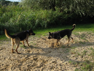 spiel mit mir