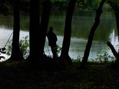 warten auf den Riesenfisch