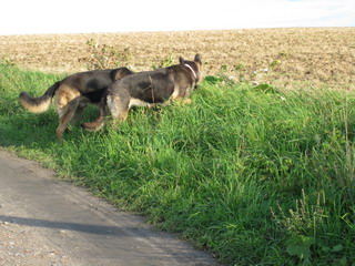wo ist die Maus